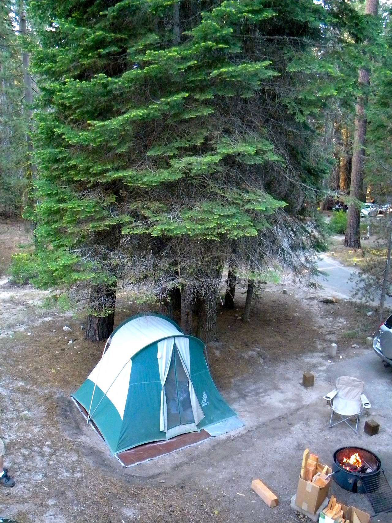 Sequoia National Forest