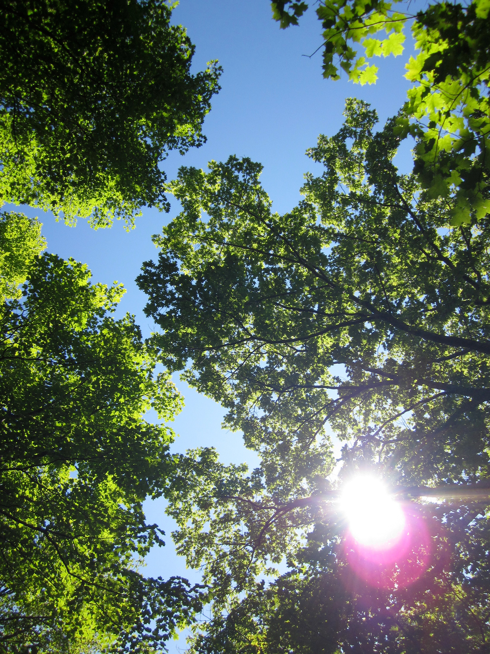 beautiful nature all around!