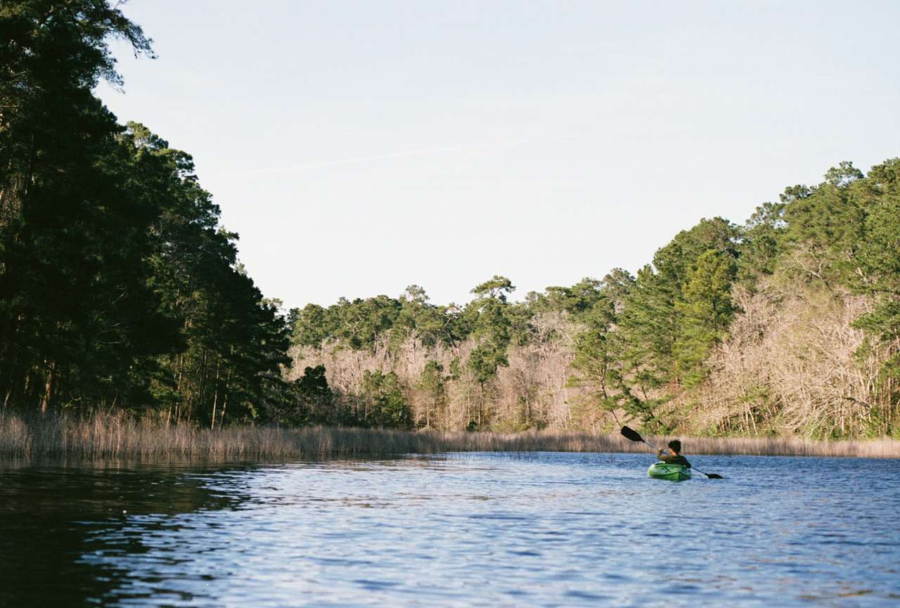 Sam Houston Jones State Park