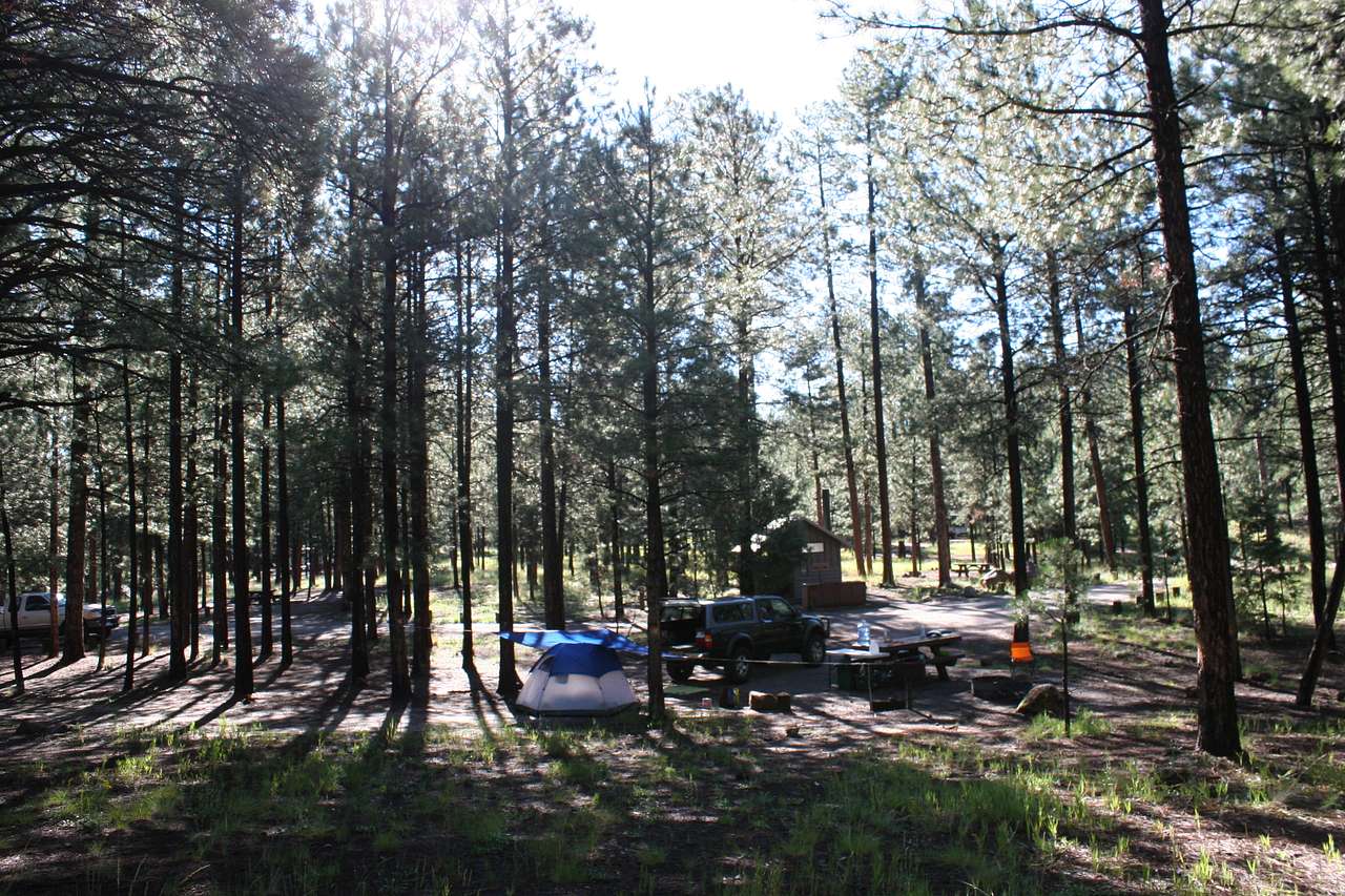 Our campsite was very spacious.