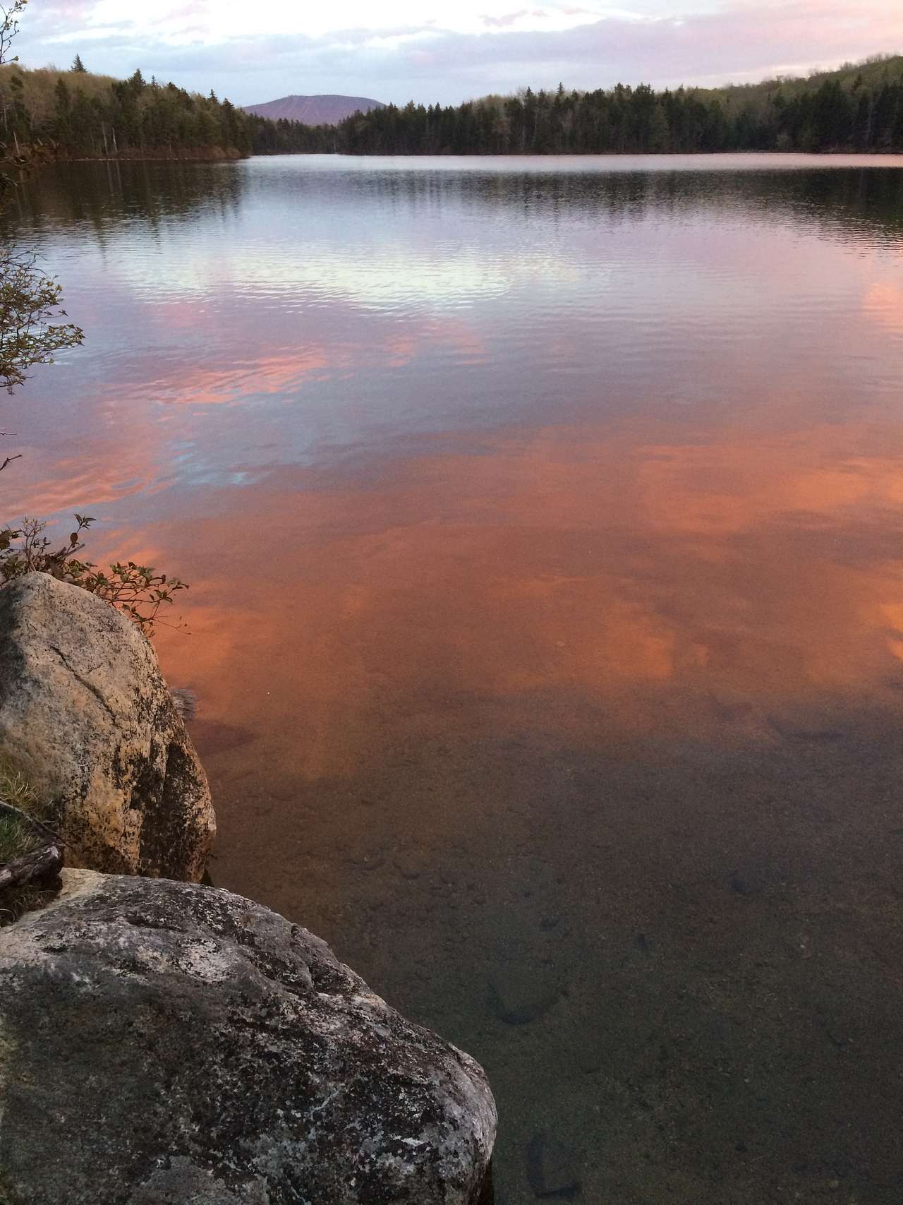 spring sunset on grout pond