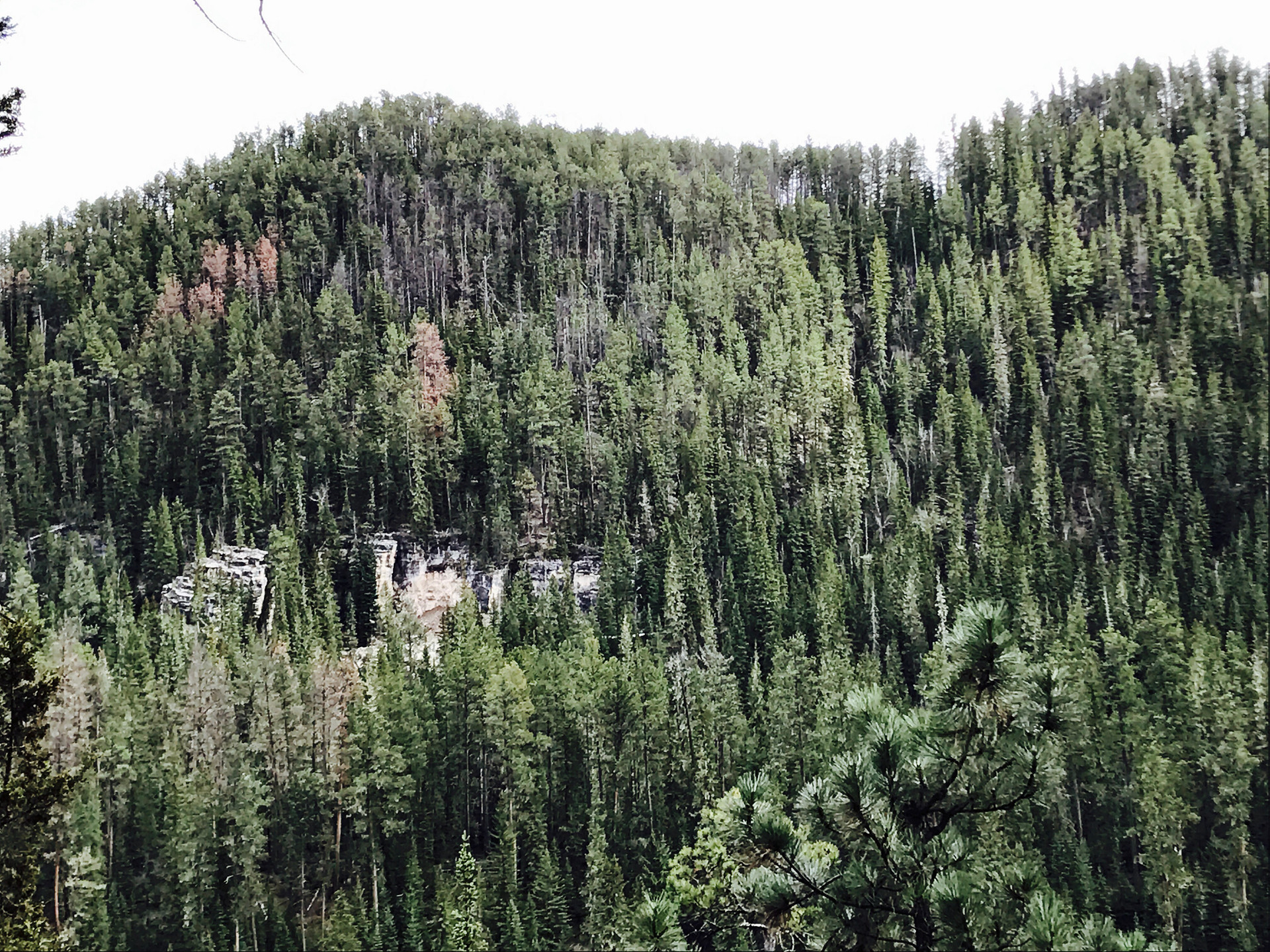 Remarkable area