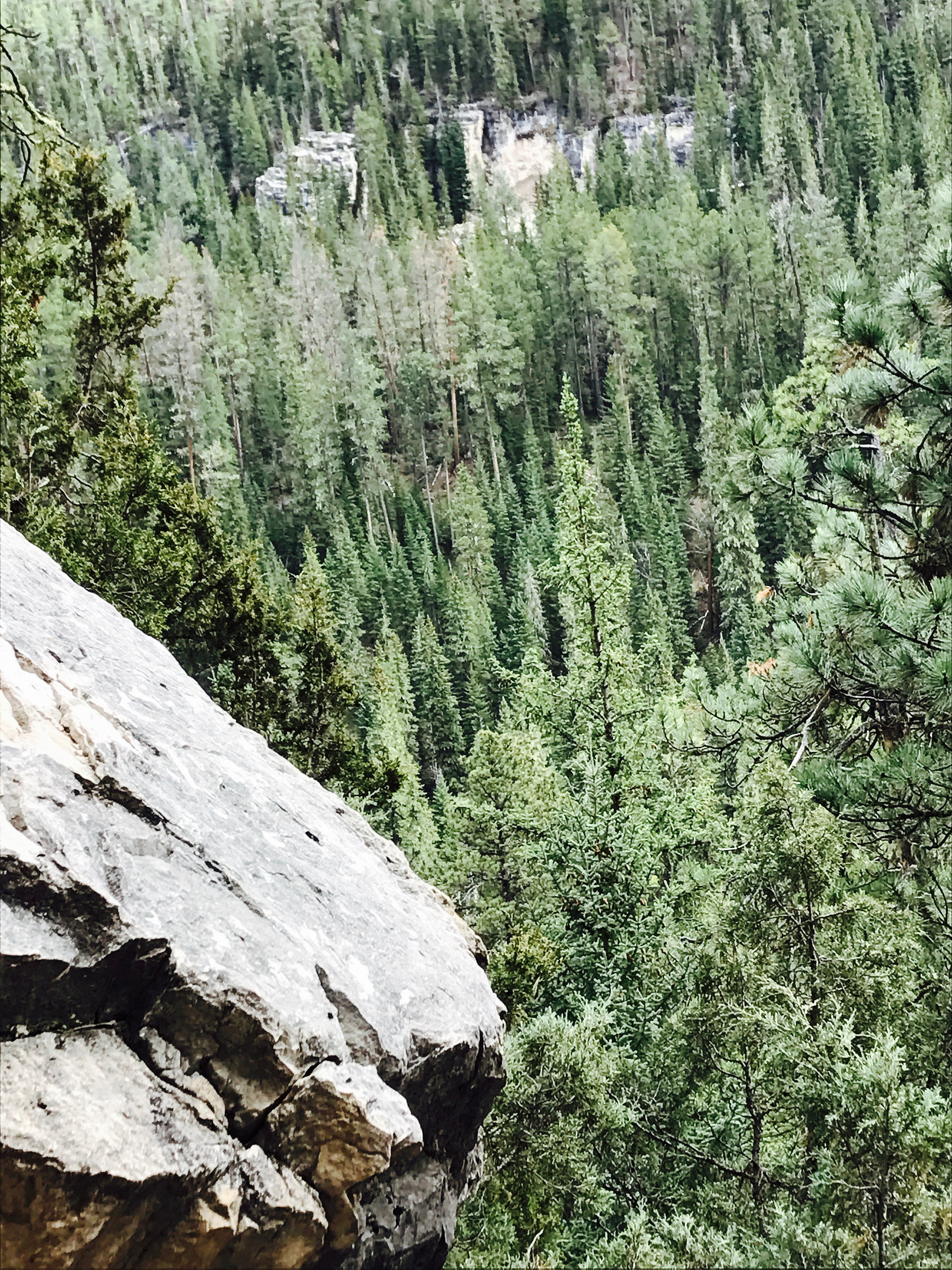 Peace filled air