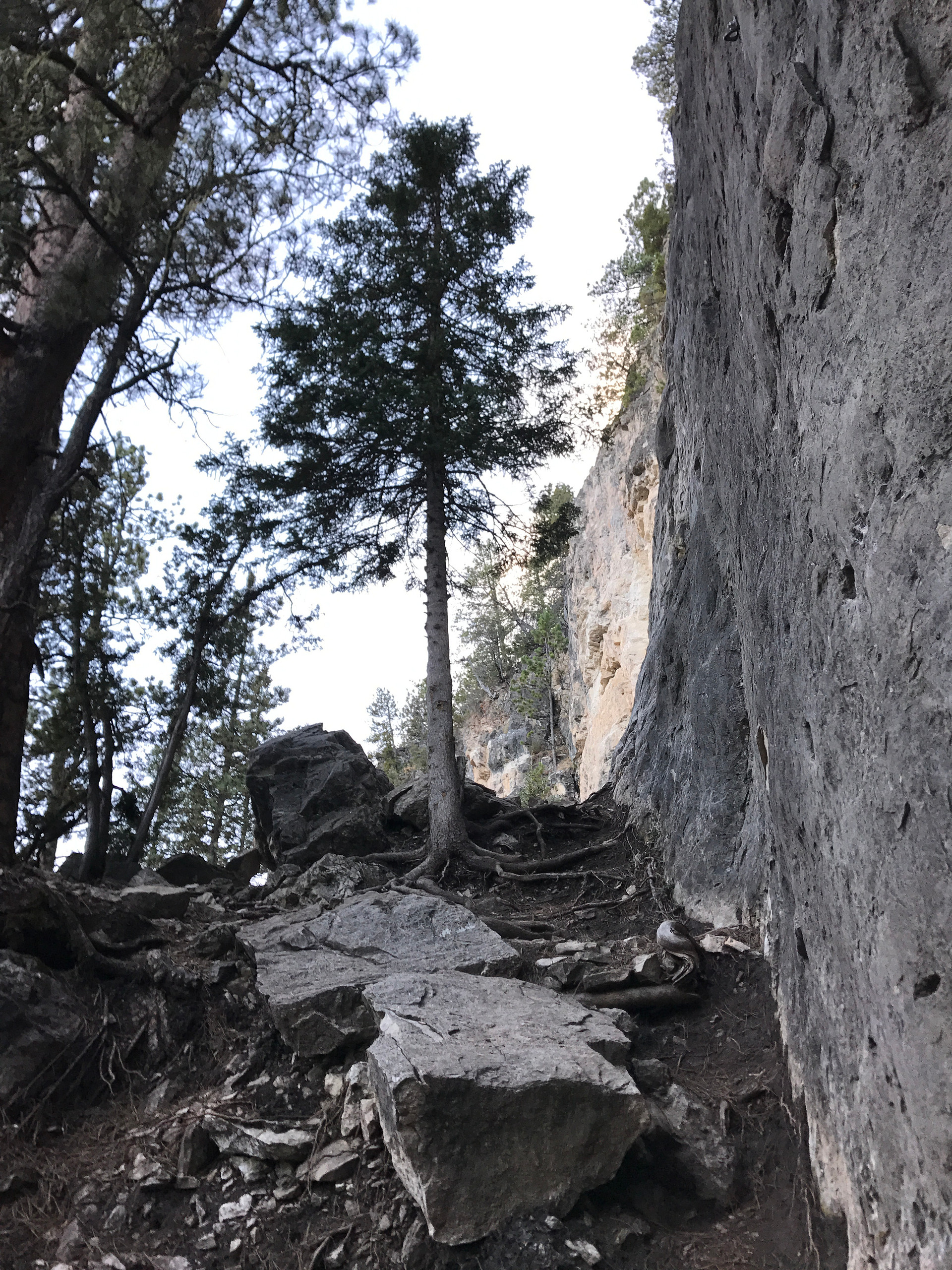 Great climbing for all skill sets 