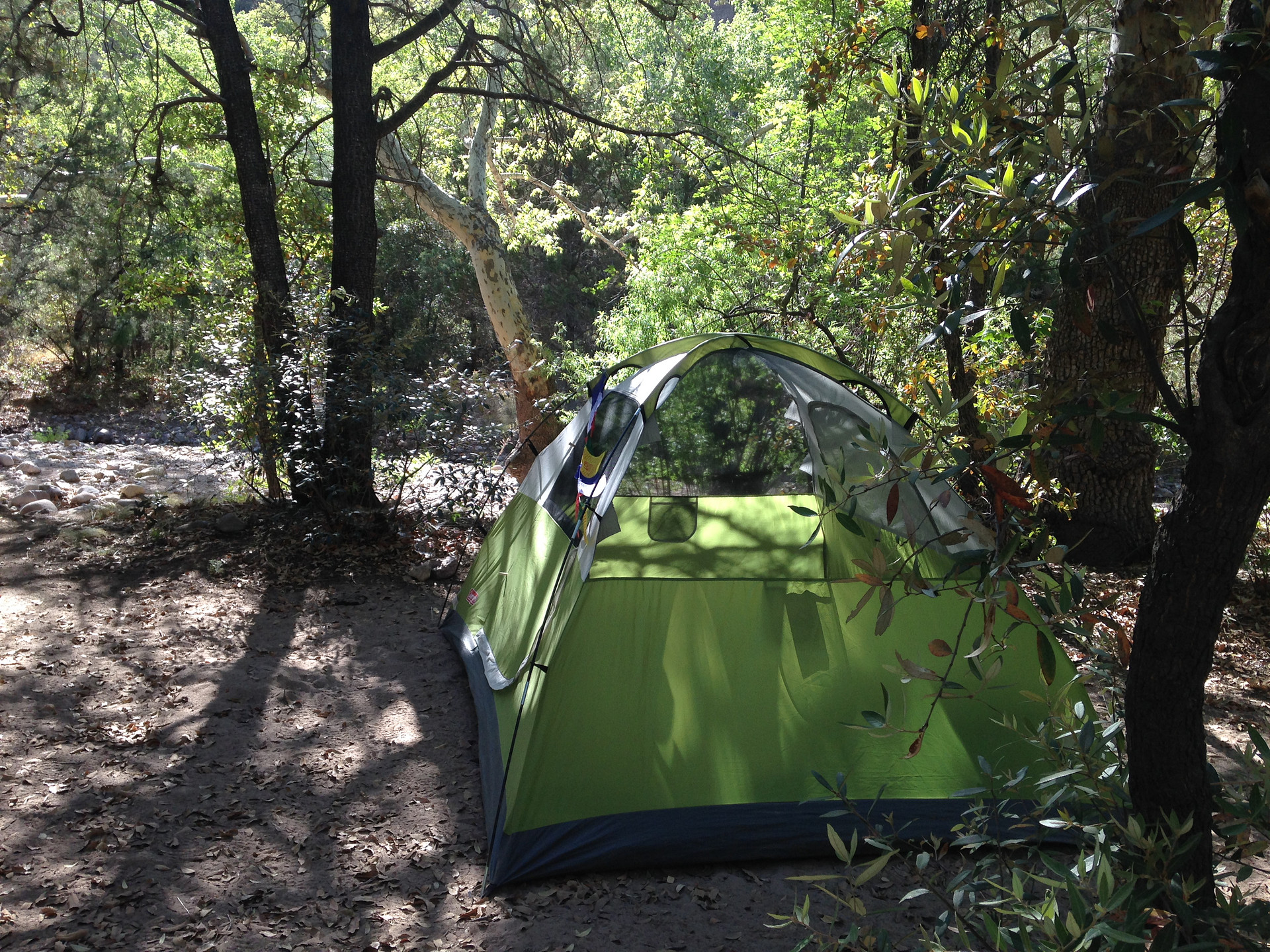 Site #6
