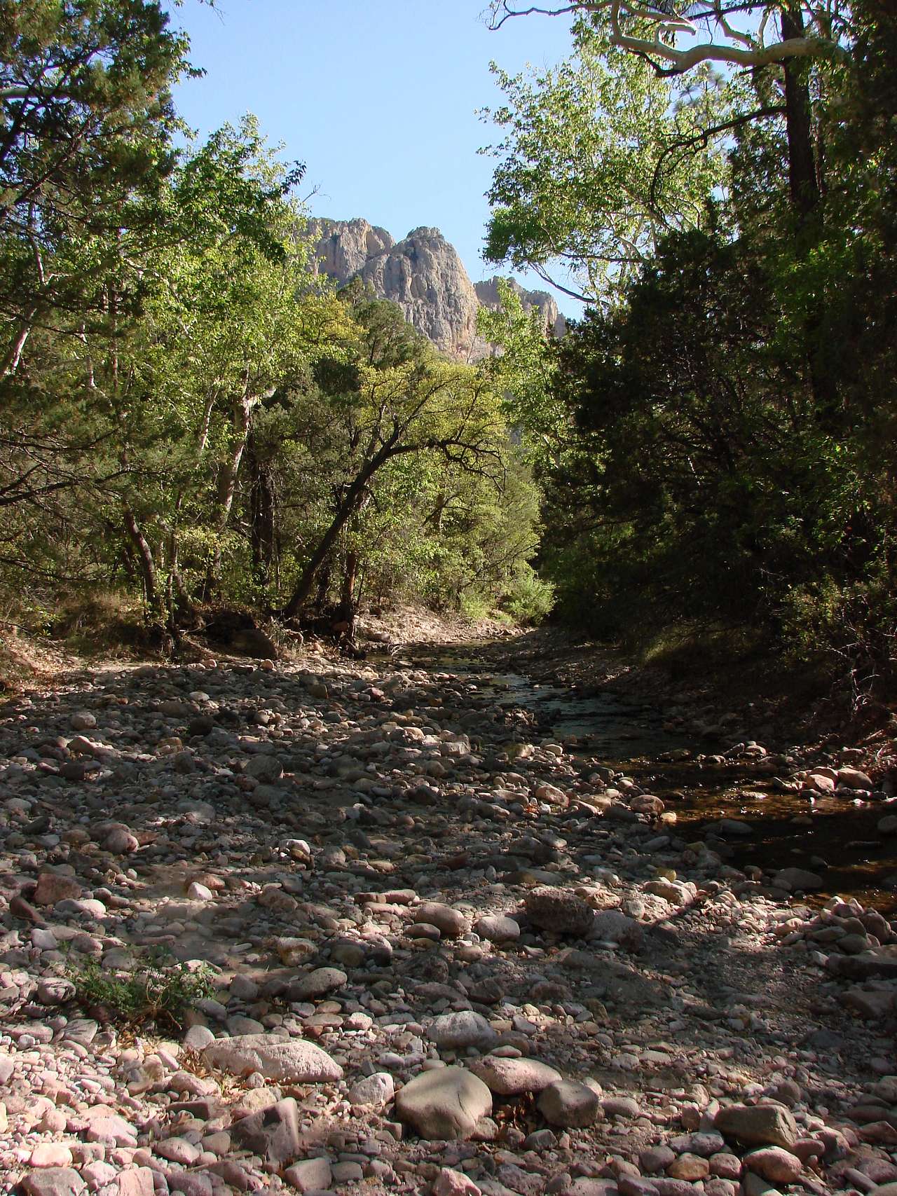 Cave Creek, 15 feet from our tent.