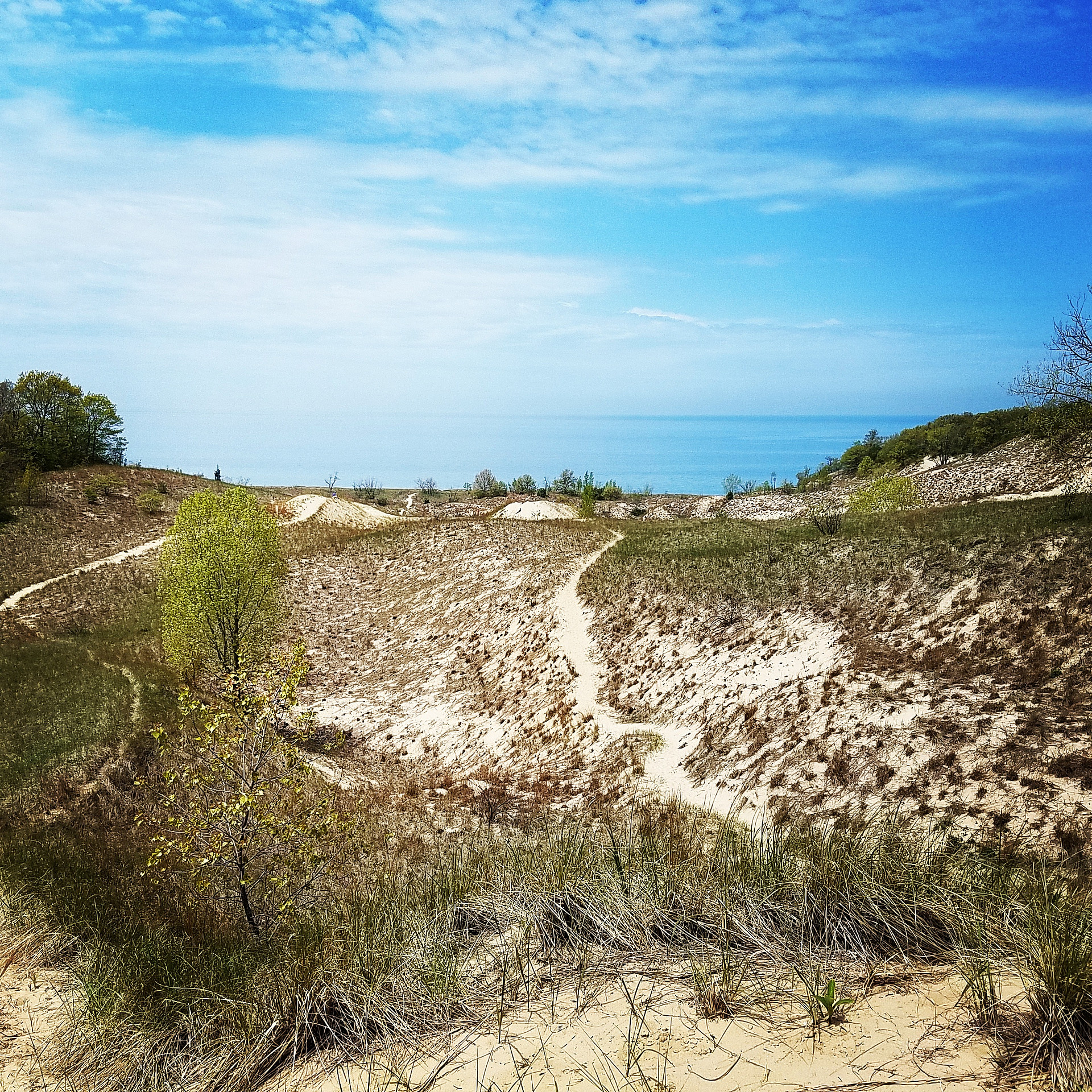Sand dunes near marker 8 looking toward lake.