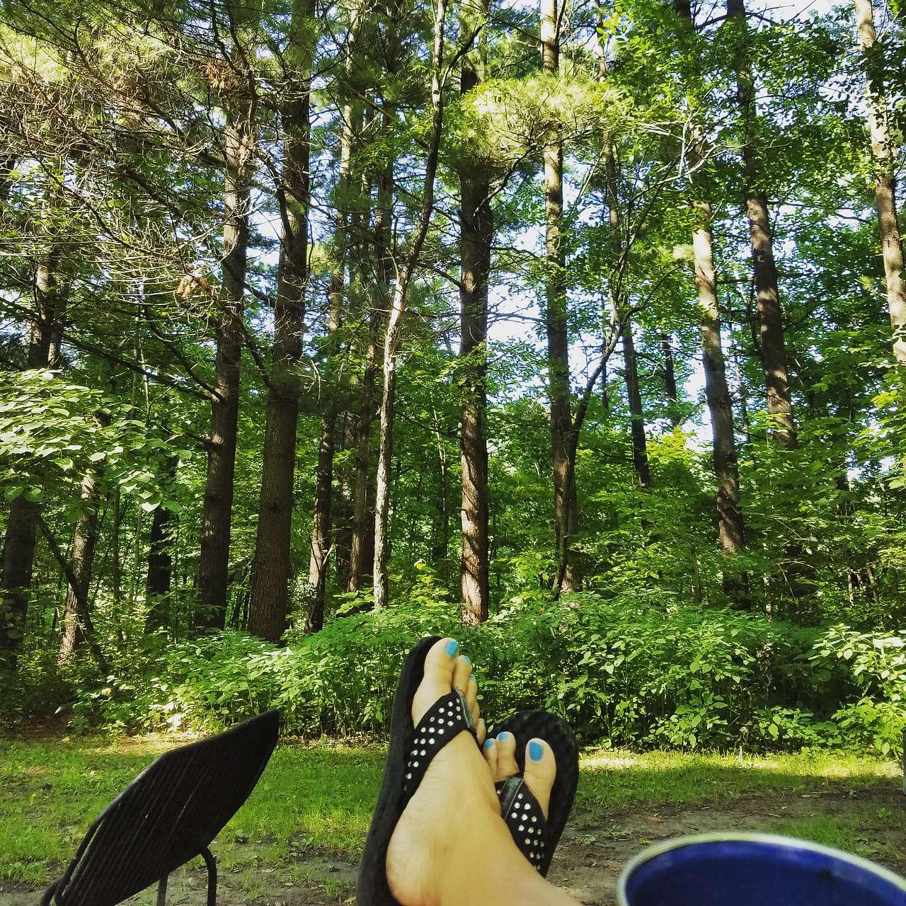 Peaceful morning coffee.  From August 2016.