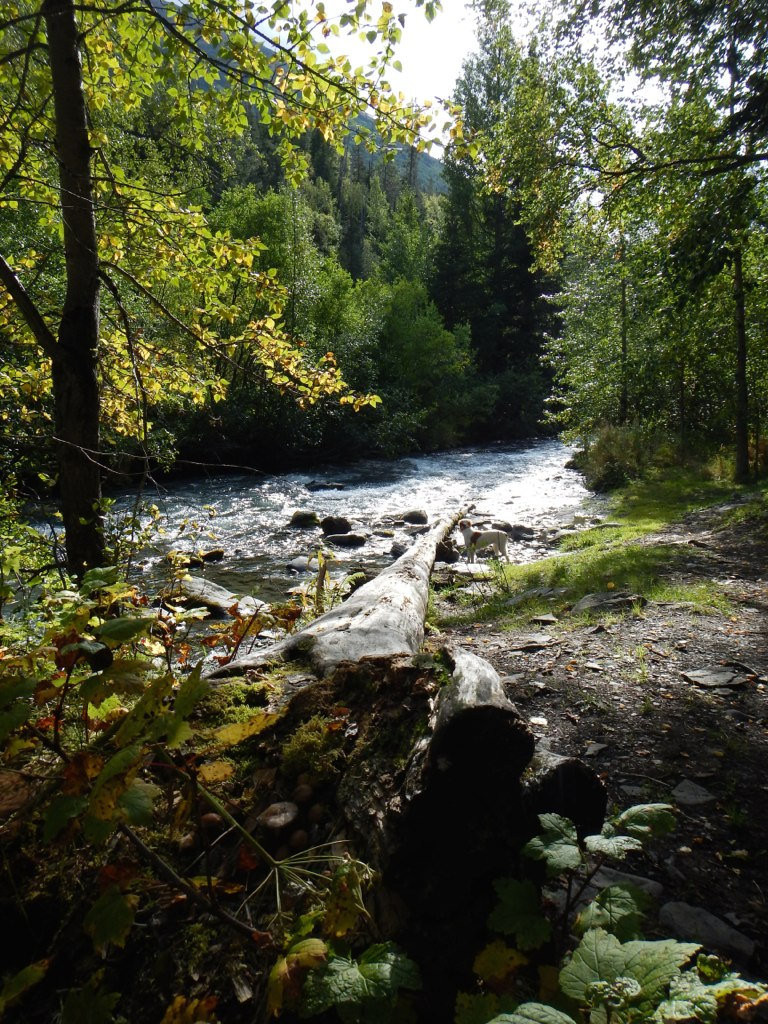 Crescent Creek