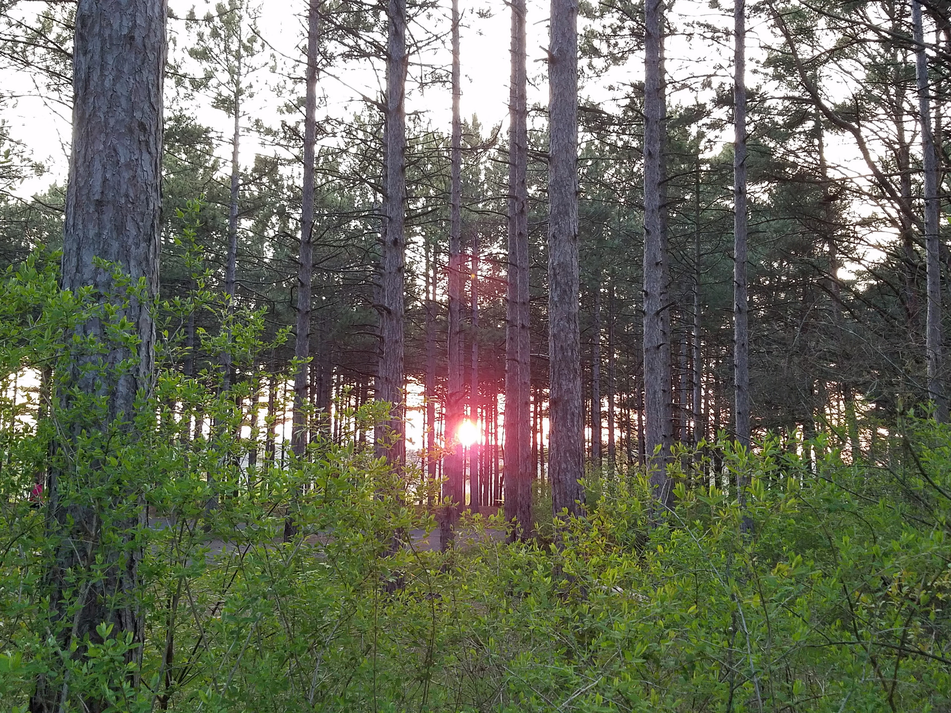 Sunset May 2016