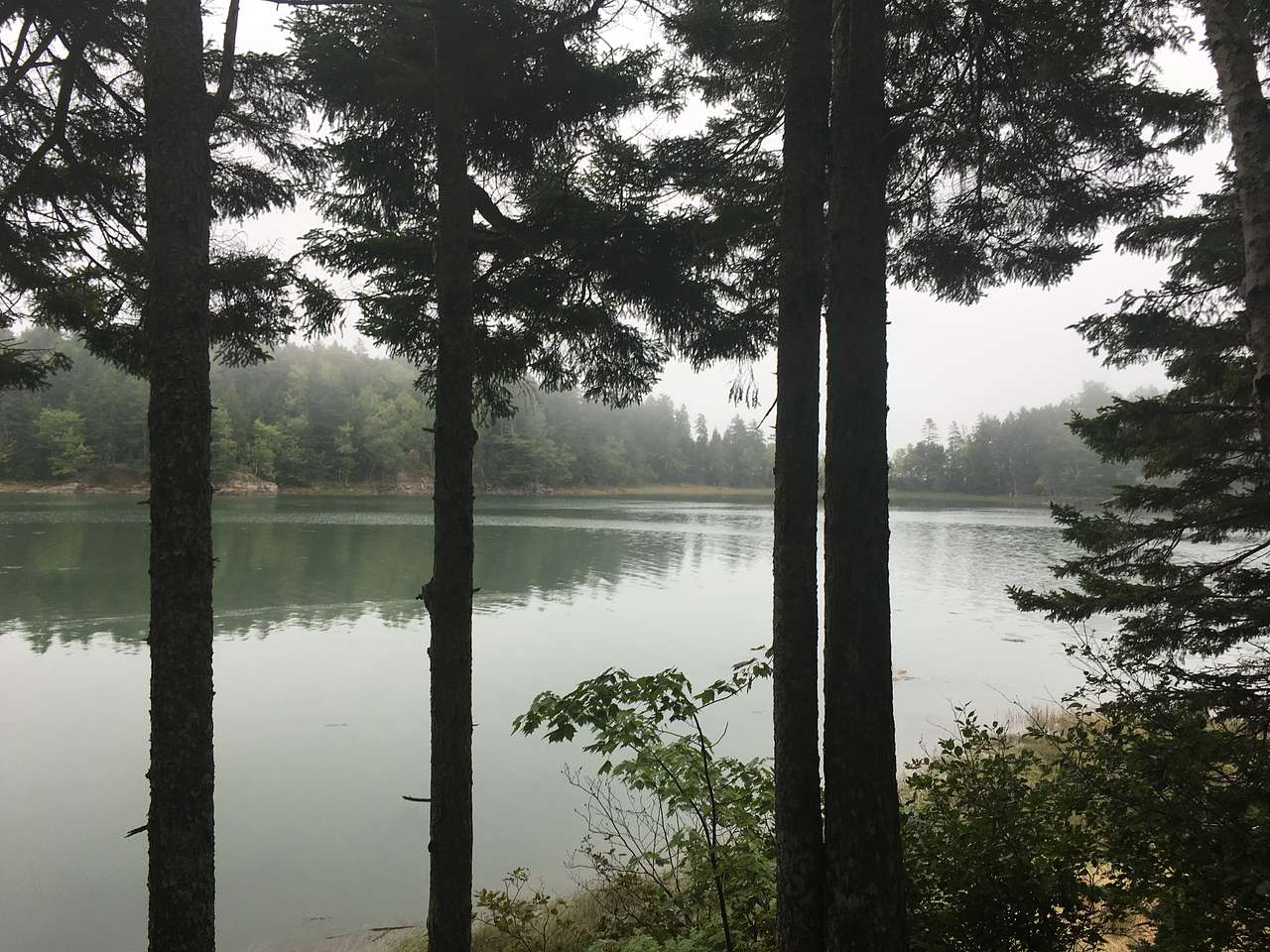 Cobscook Bay State Park