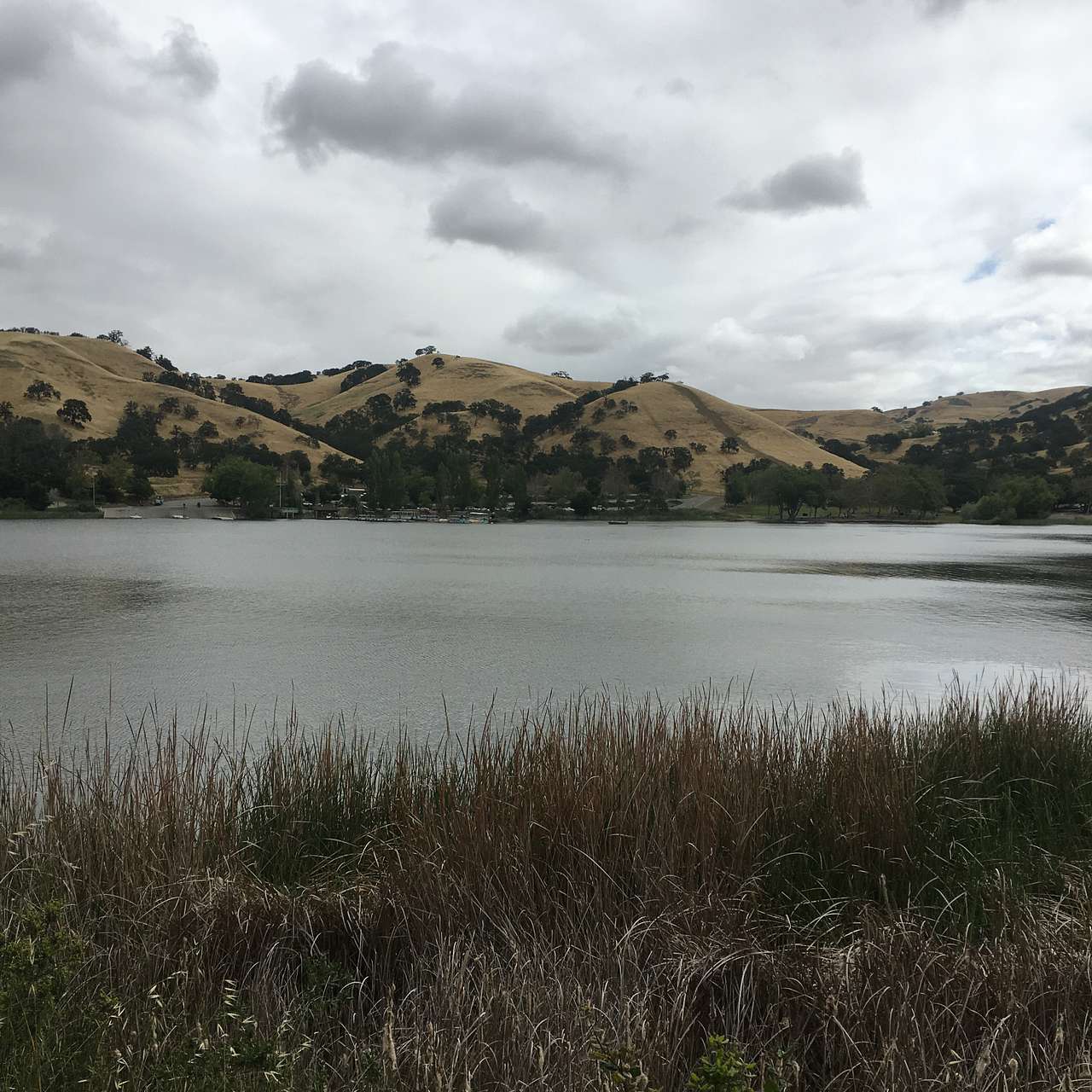 Del Valle Regional Park