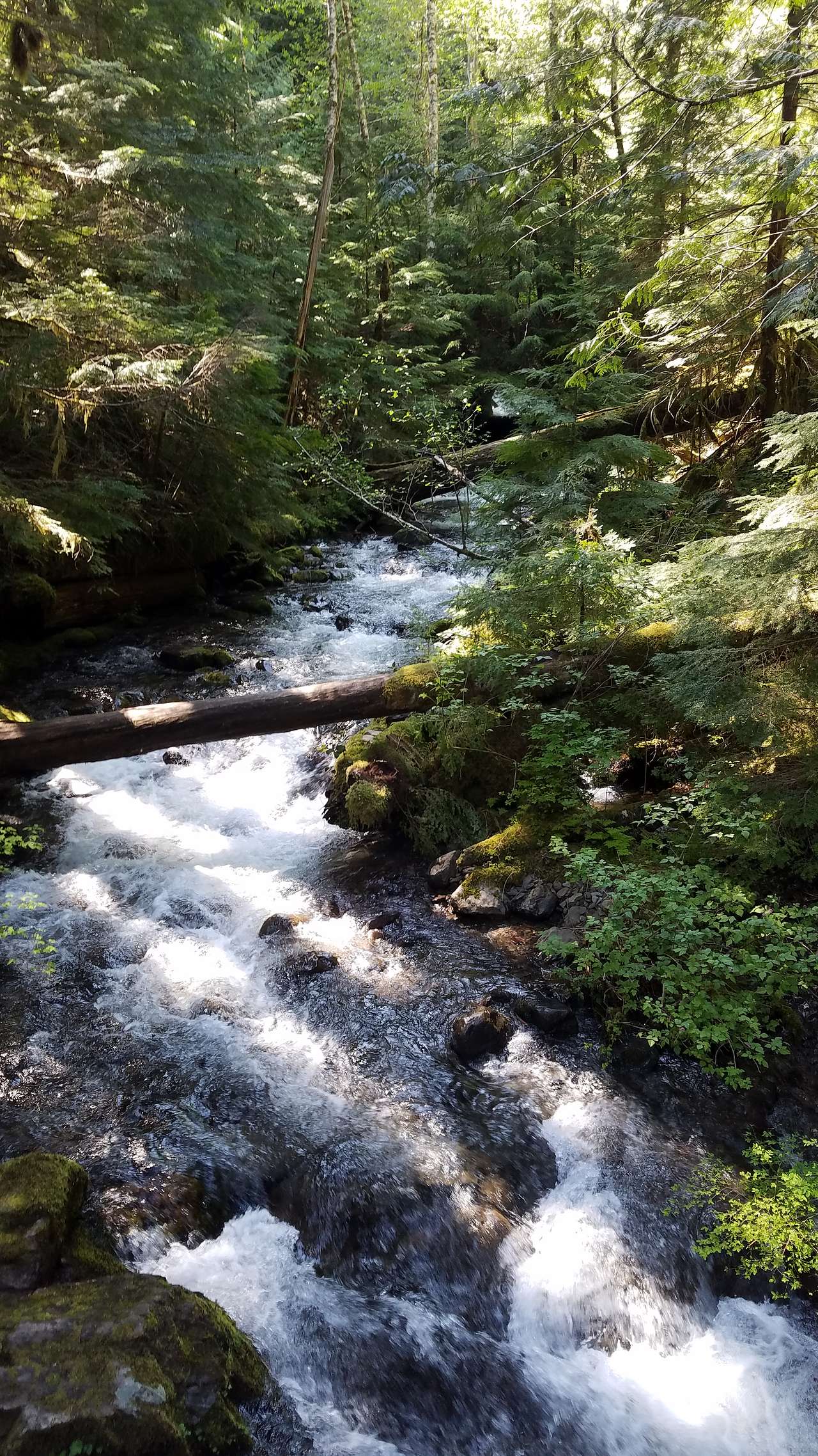 Lower Falls Group Camp