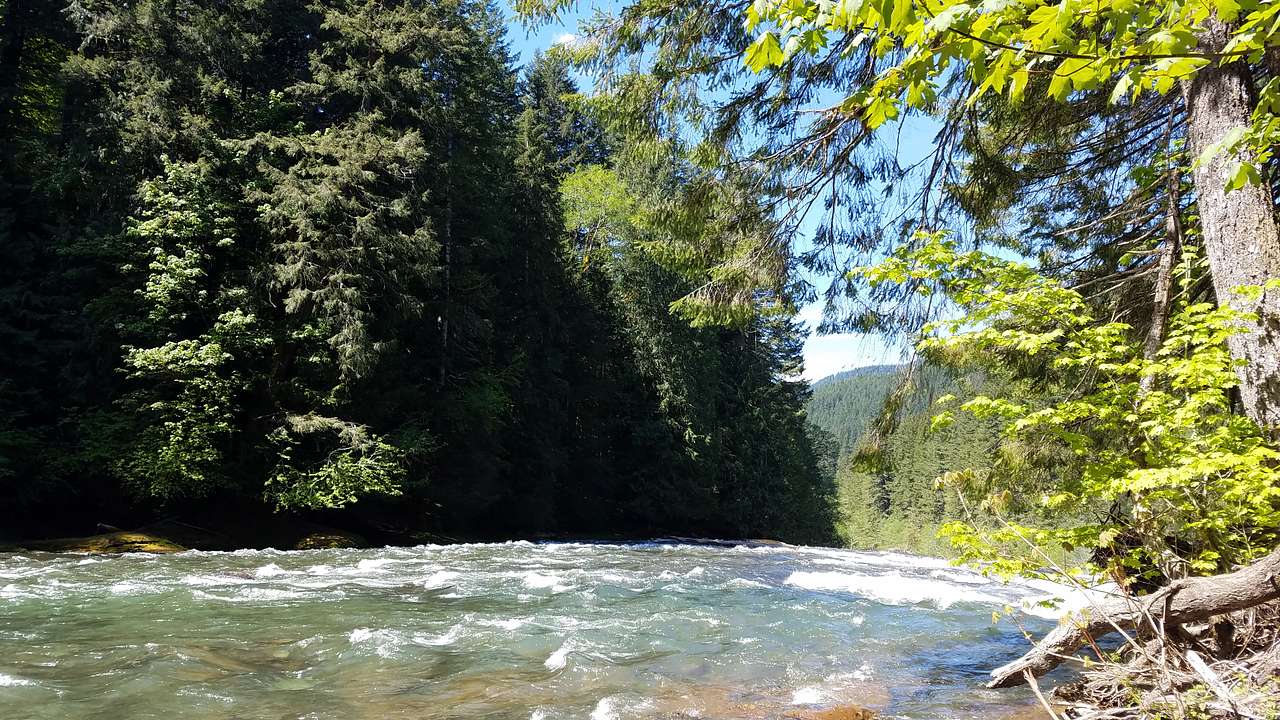 Lower Falls Group Camp