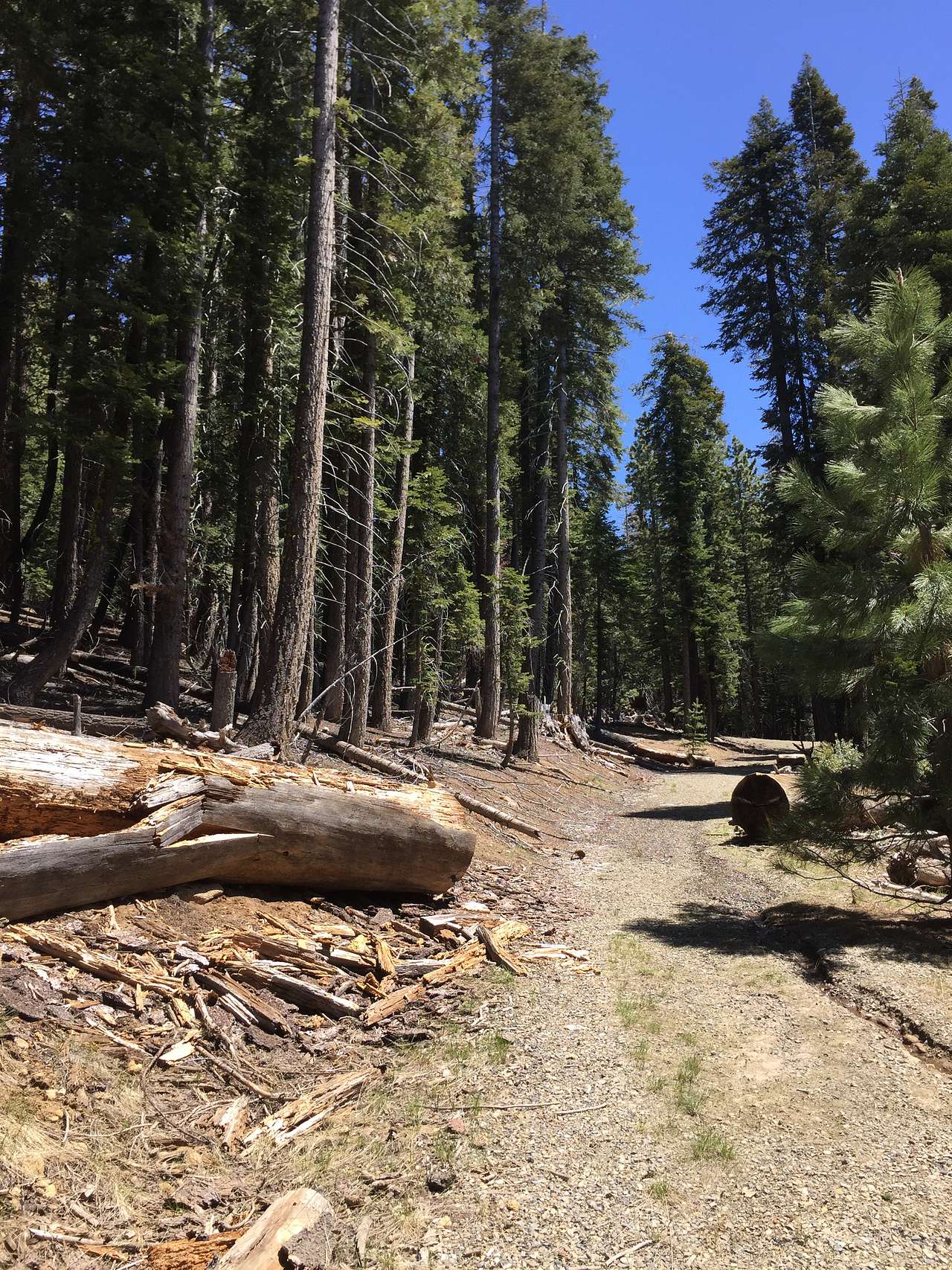 Catavee Campground