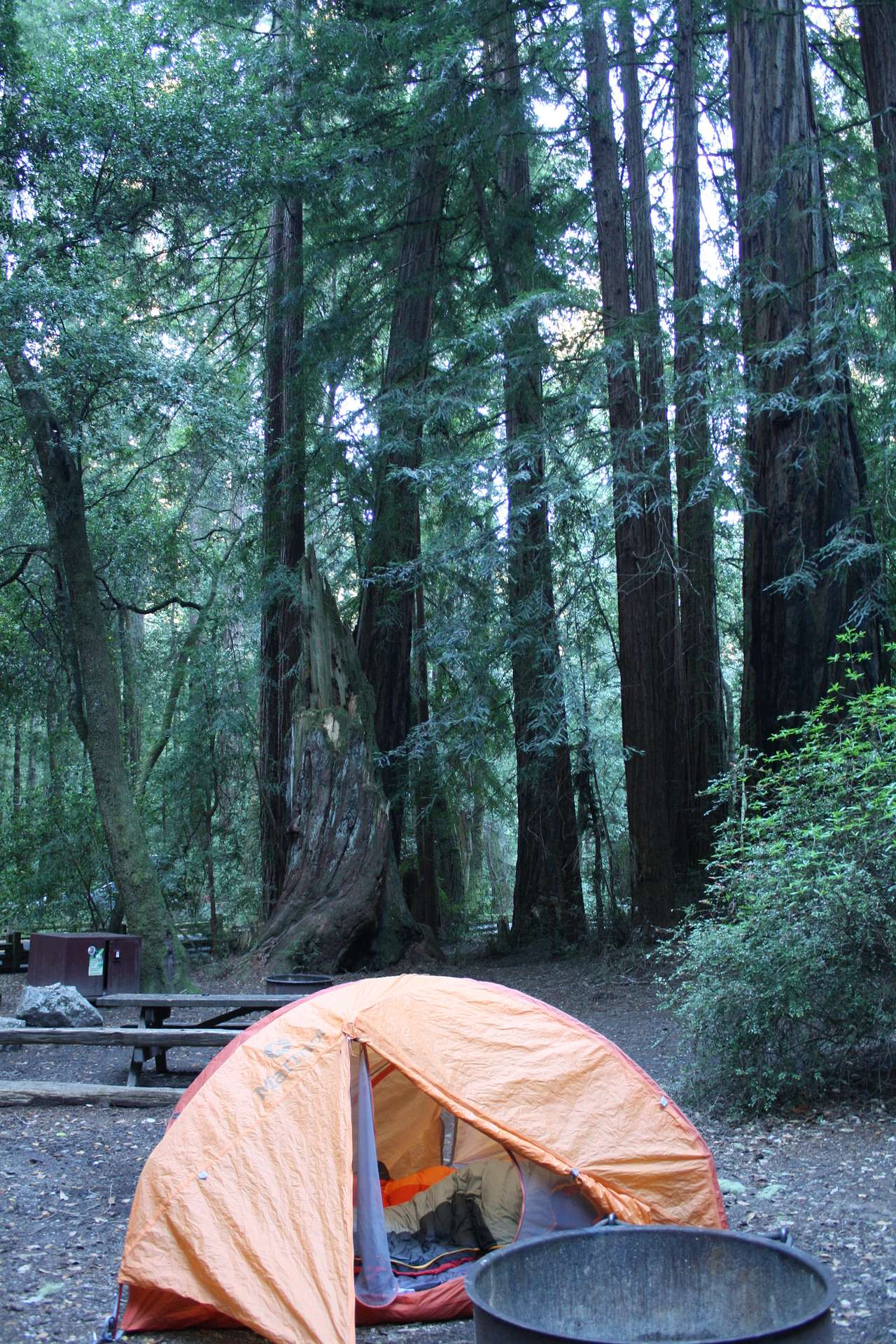 Sempervirens Campground