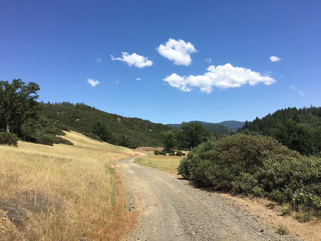 Bear Creek Campground