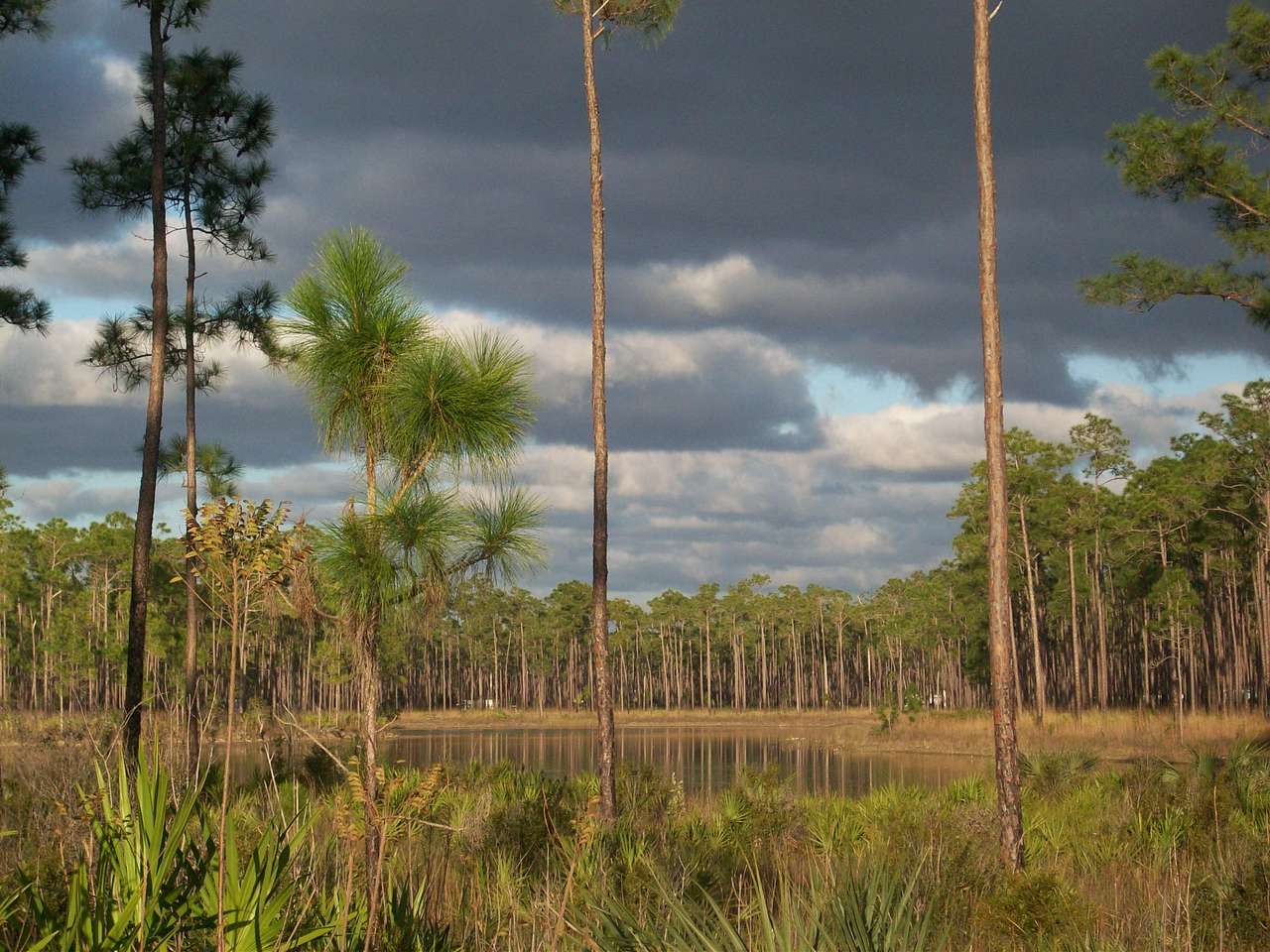 The lake at Long Pine Key Campground