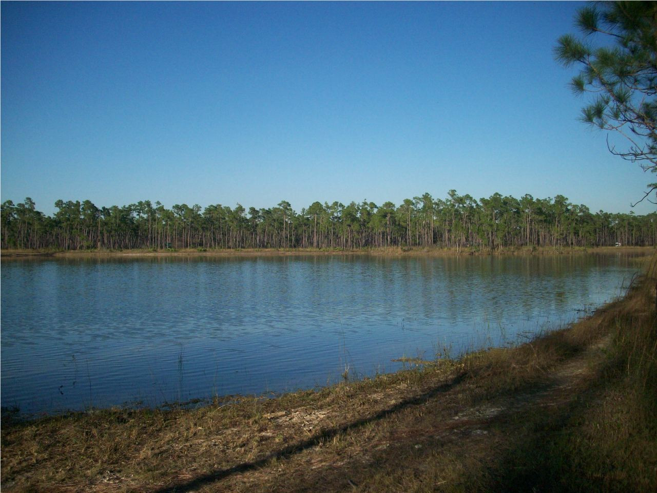Along the Lake