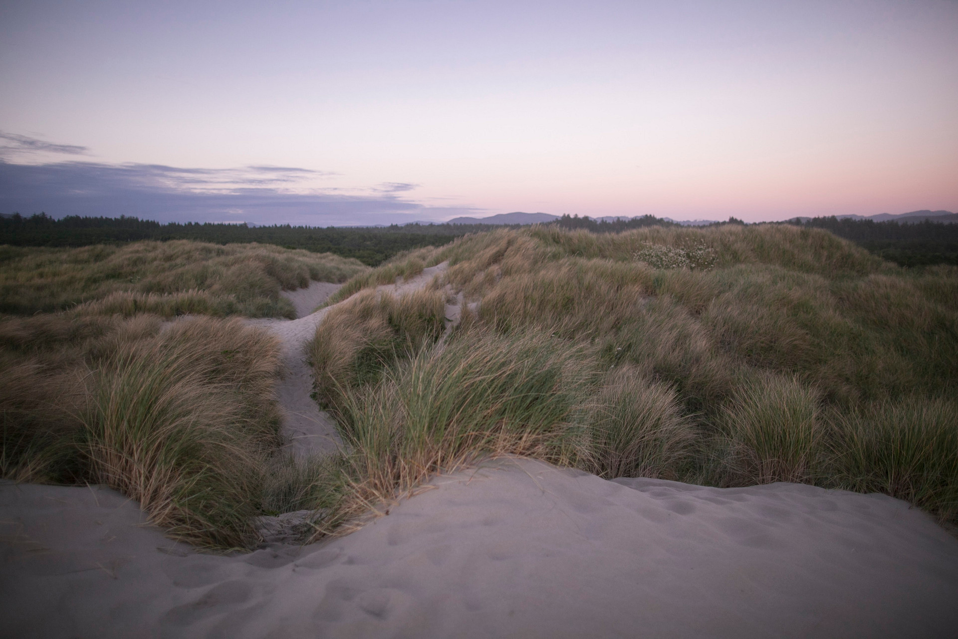 Nehalem Bay Campground