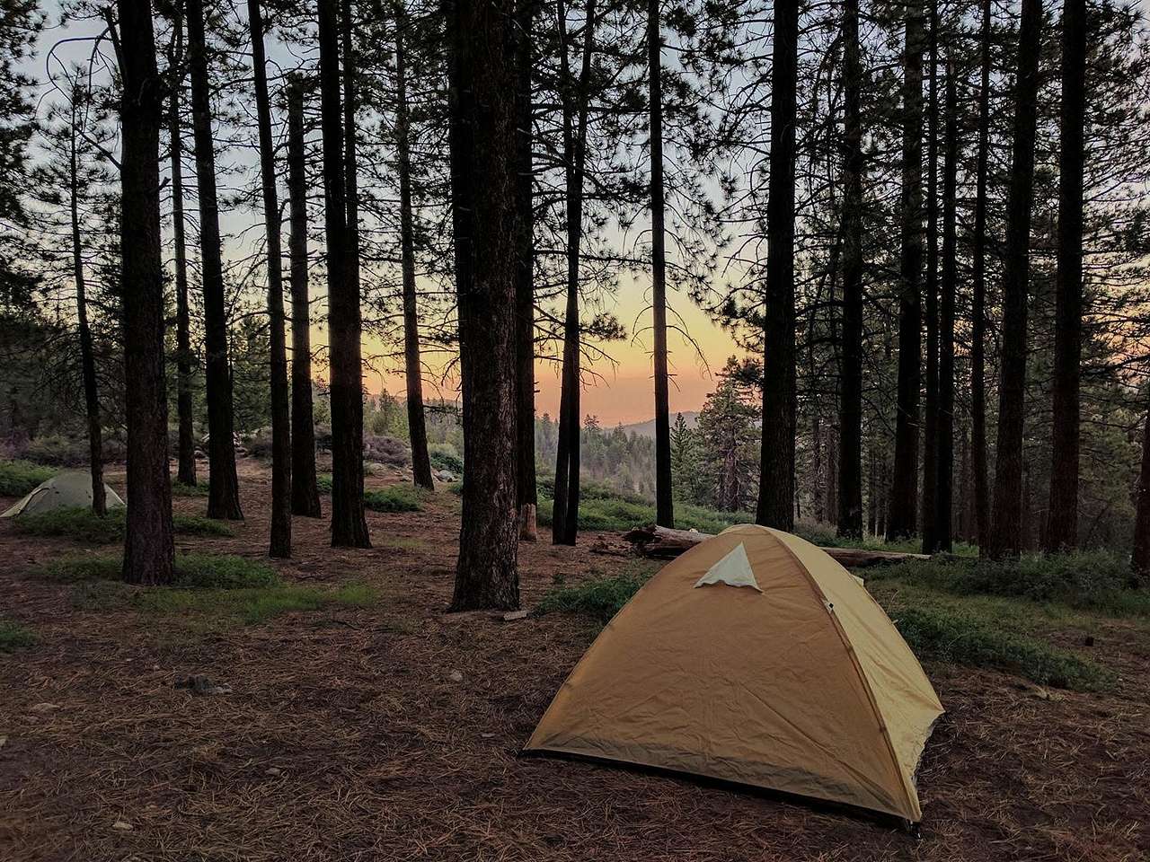Magic Hour