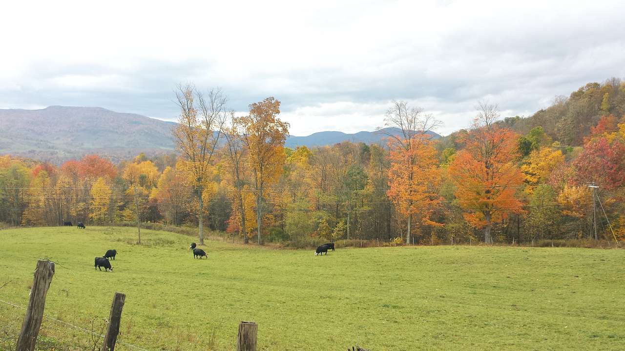 North Bend Picnic Area