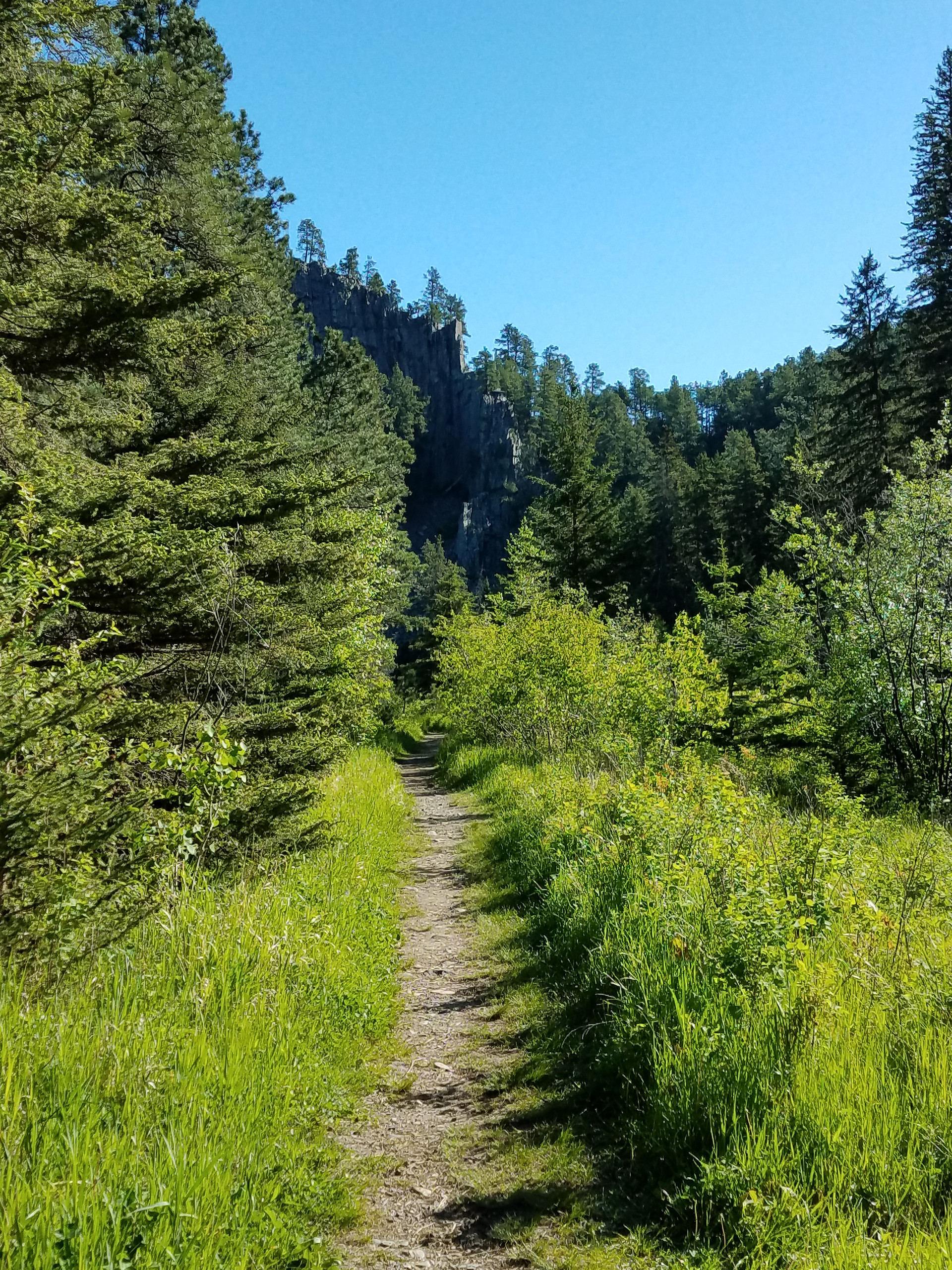 Sheridan Lake Campground
