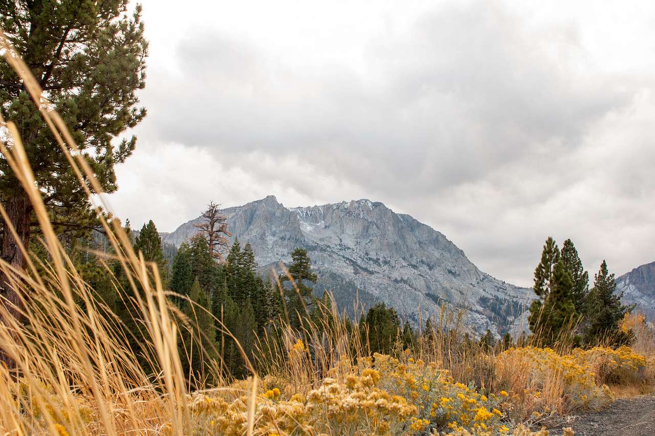 Along the road between Reversed Creek Campground and Gull Lake. 
