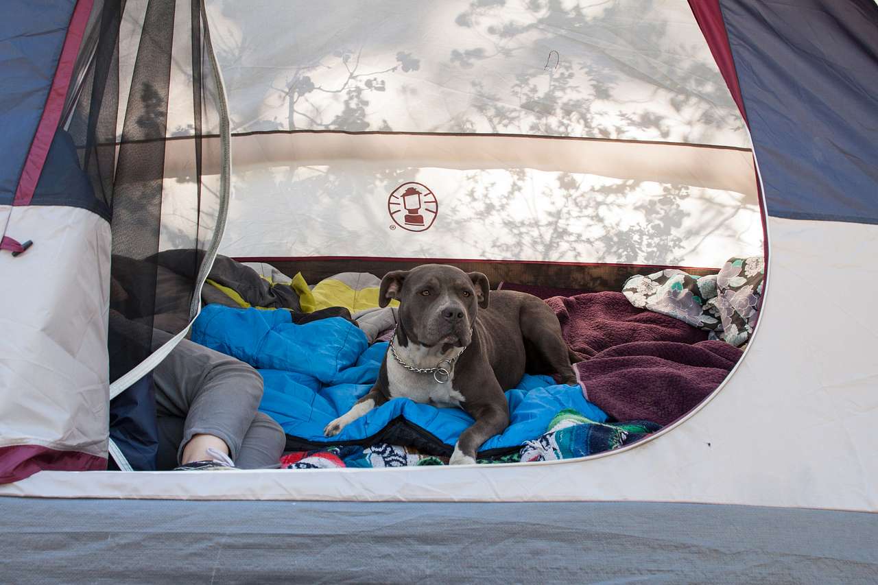 The campground is pup friendly.