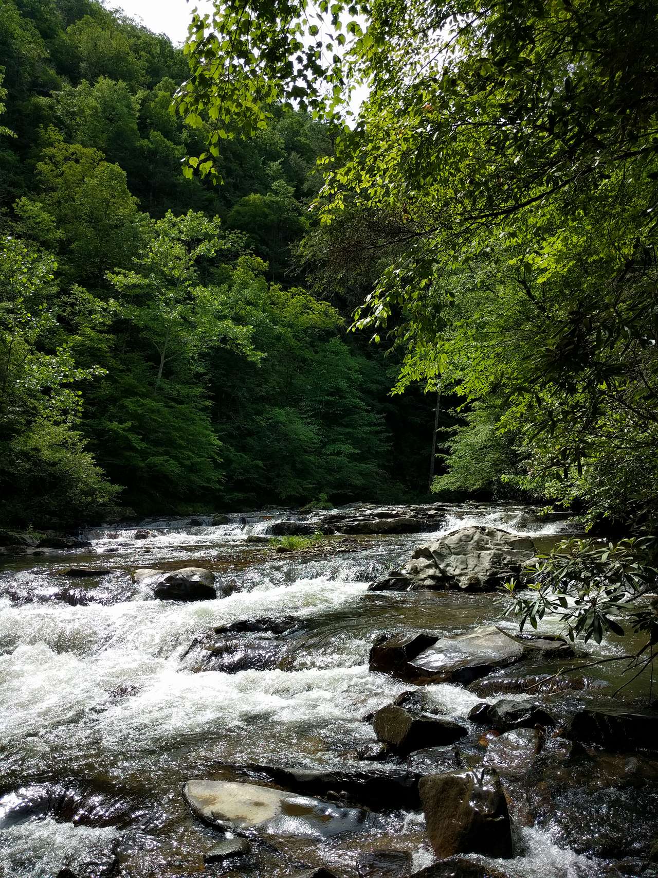 Sights on the hike