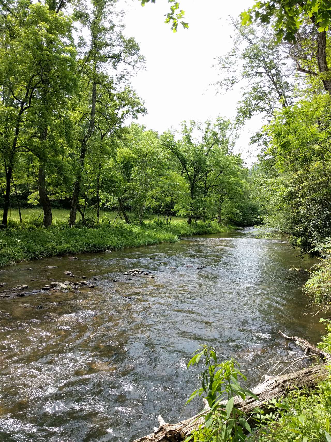 Sights on the hike