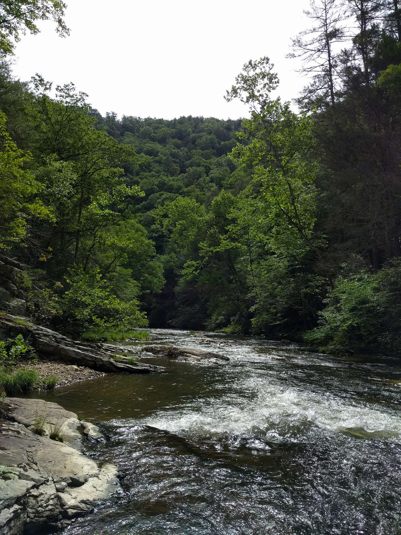 Sights on the hike