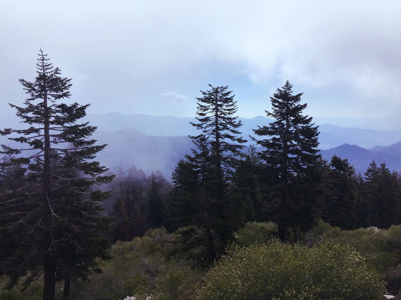 View from Tobias Lookout--too bad I only started taking photos after the fog rolled in. But you *could* see Mt. Whitney!