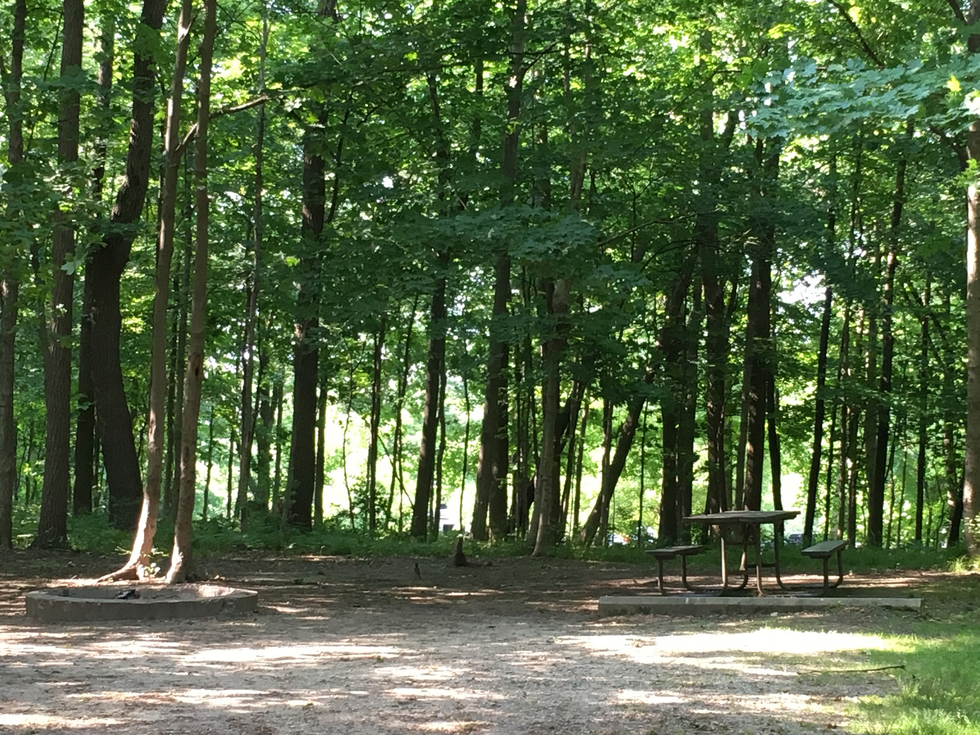 Shabbona Lake State Recreation Area