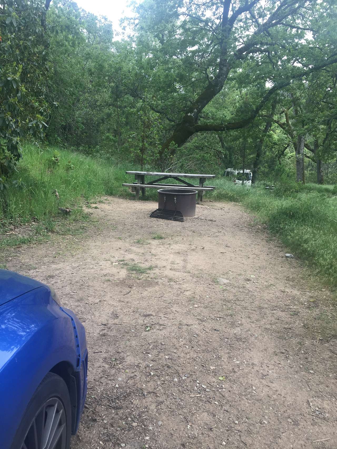 Campsite 8