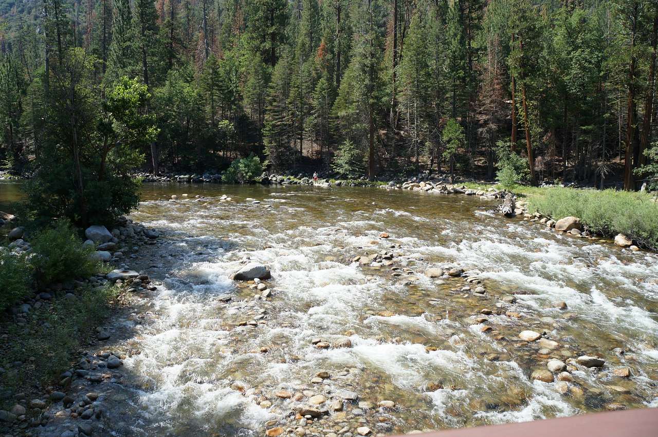 Short walk to Kings River