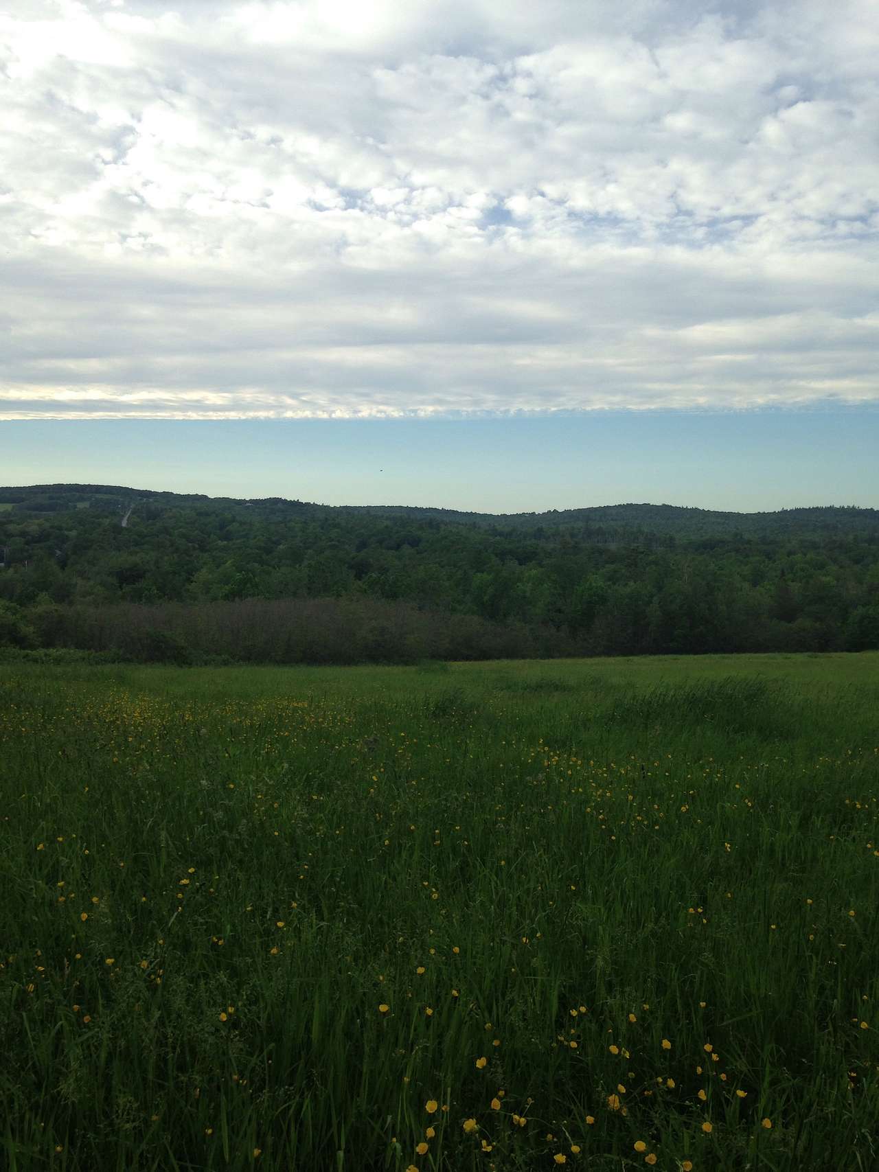 The view from your camping spot