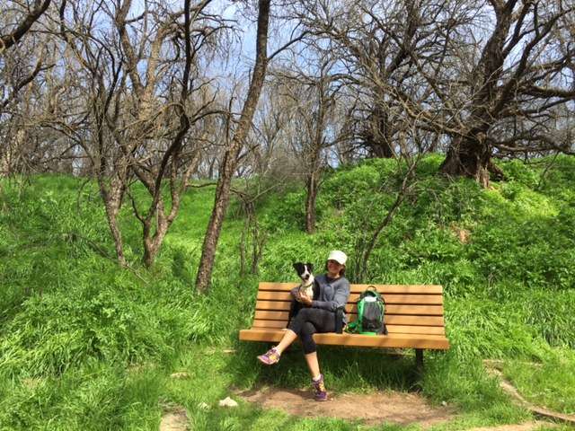 Beautiful little spot to relax on a hike around the park.