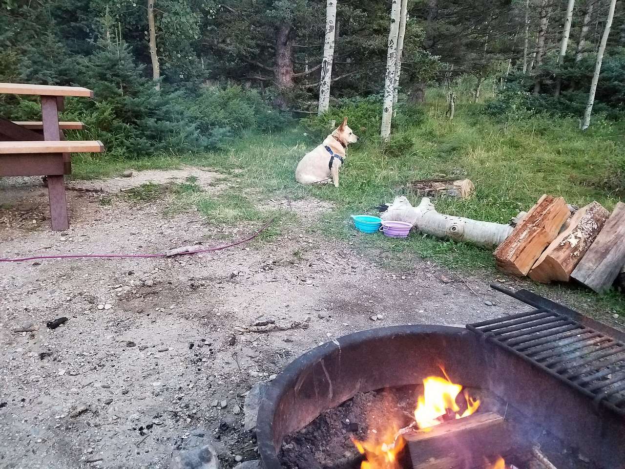 Fire time