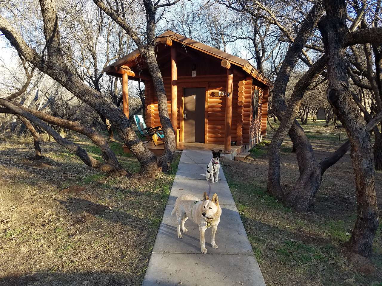 Love the cabins!