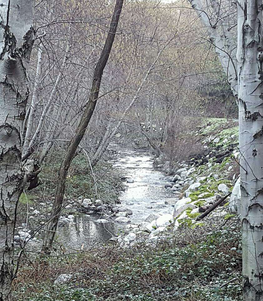Glenn Camp Campground