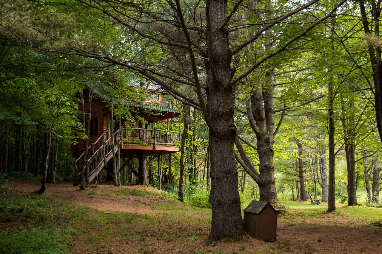 Firs views of Moose Meadow Treehouse