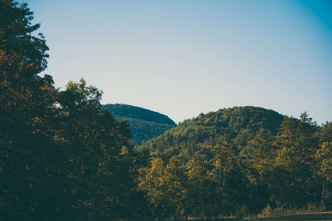Stratton Pond Trail