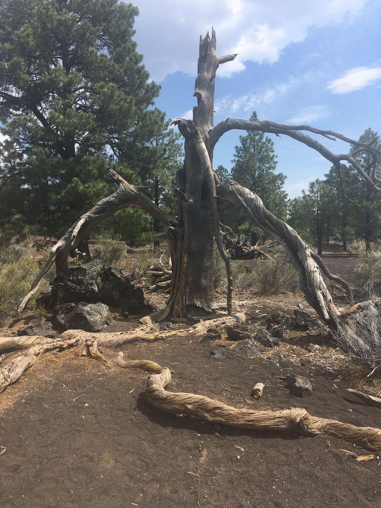 At sunset crater 