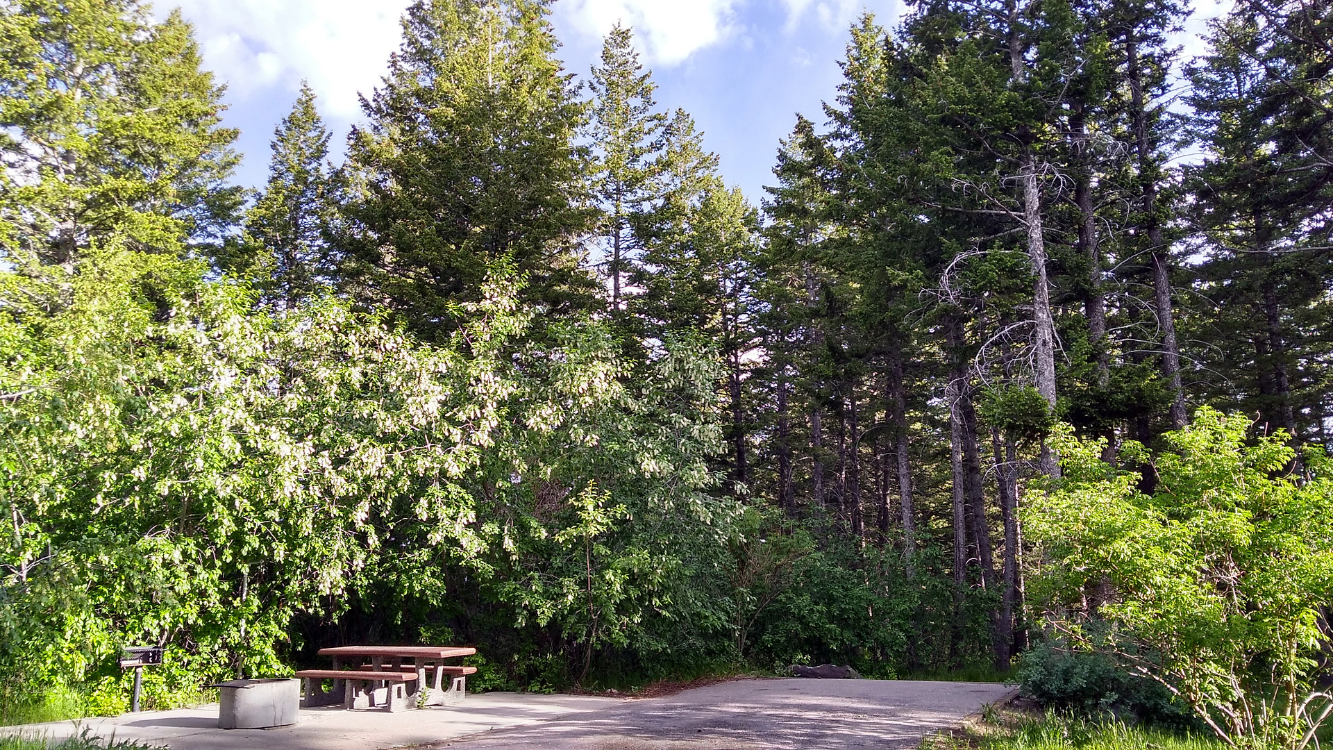 Caribou National Forest