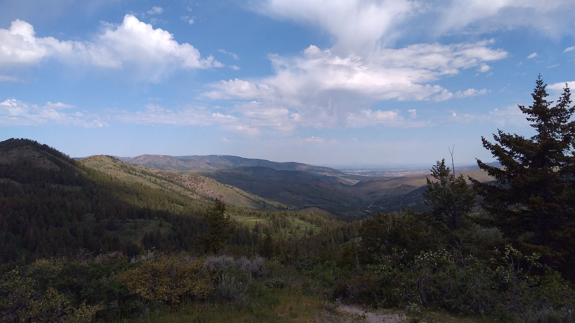 Caribou National Forest