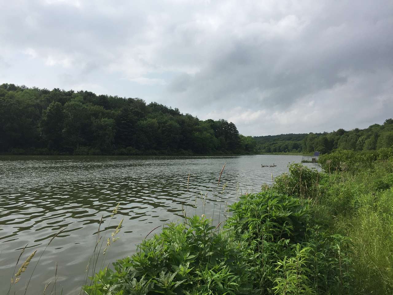 Frances Slocum Park Campground