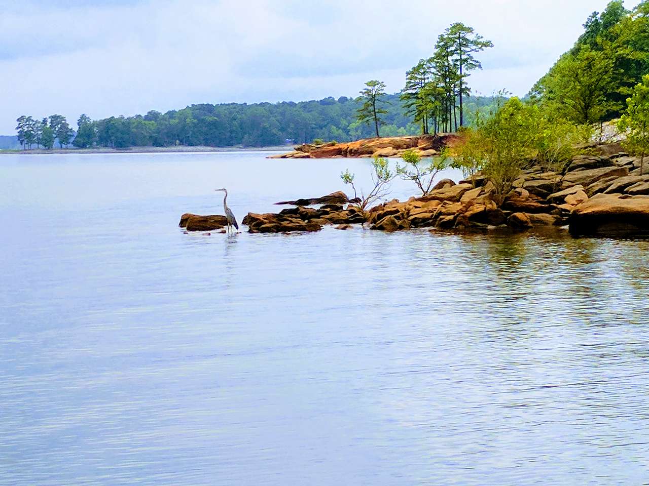 View from the water.