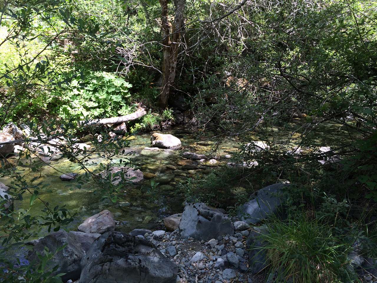 Patrick Creek Campground