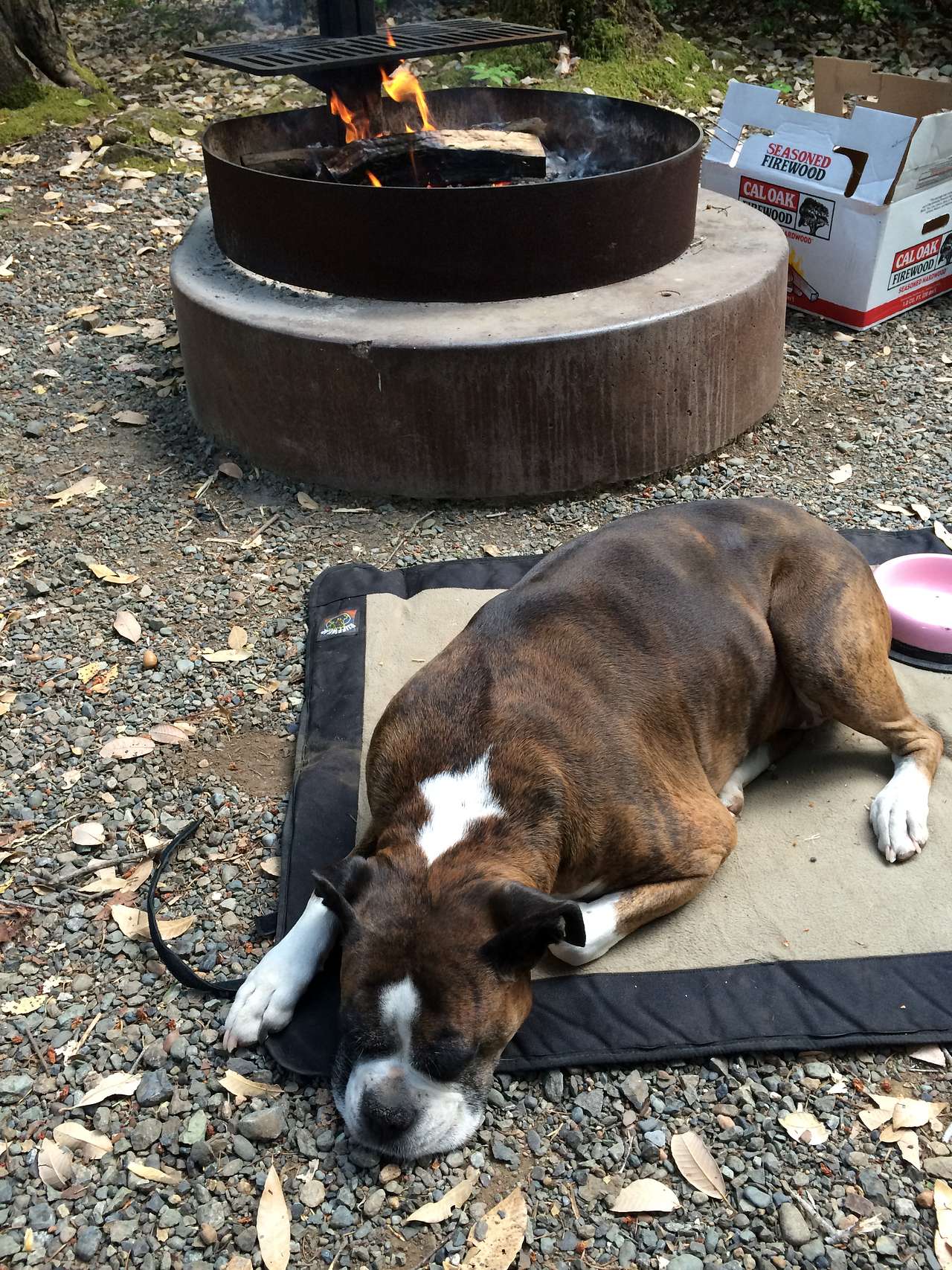 Patrick Creek Campground